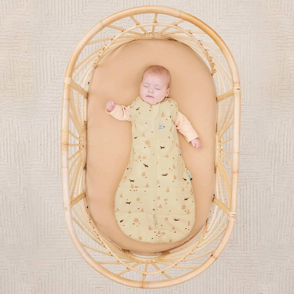 ERGOPOUCH COCOON SWADDLE BAG 2.5 TOG 3-6 MTHS