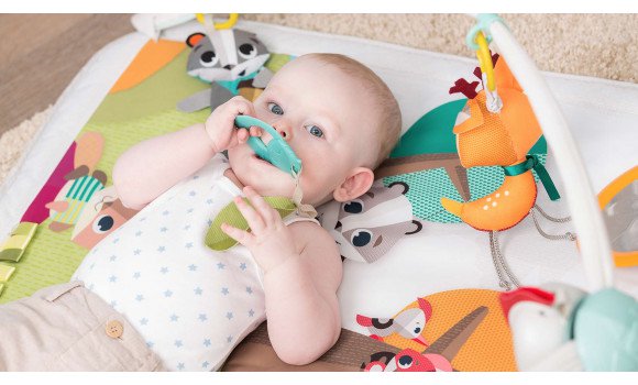 GYMINI DELUXE - INTO THE FOREST