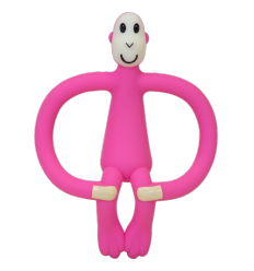 Teething Toy & Gel Applicator