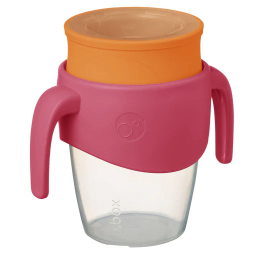 B Box 360 cup