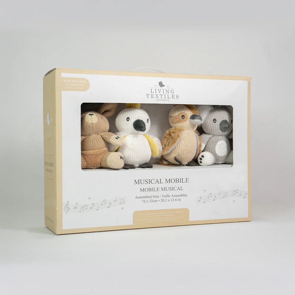 Musical Cot Mobile Gift Set
