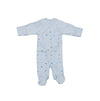 Early Birds Organics Onsie