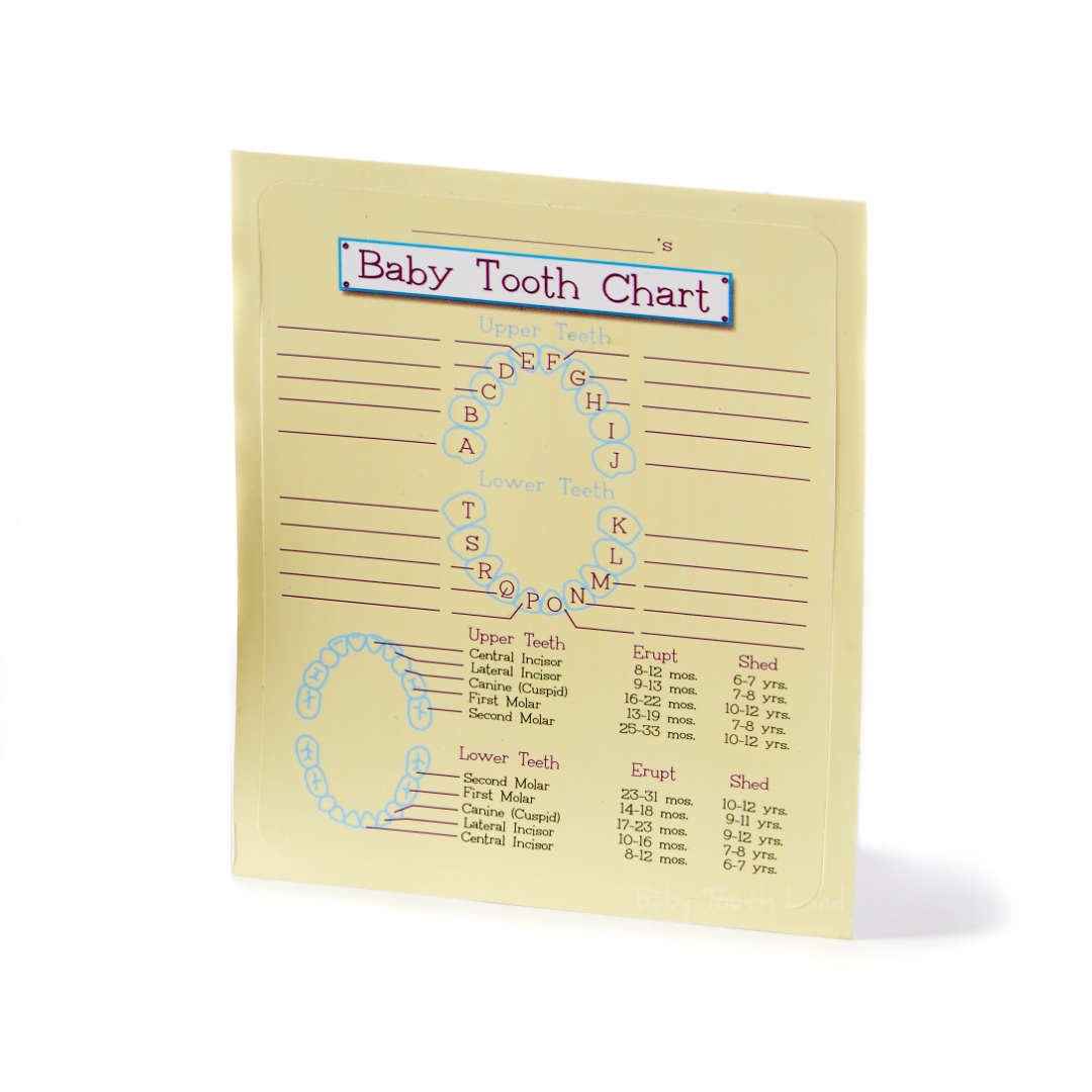 Baby Tooth Organiser