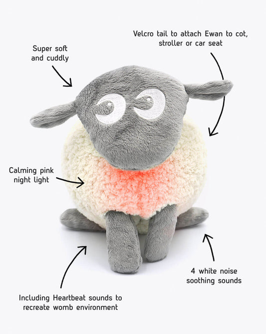 Ewan the Dream Sheep with Music and Light