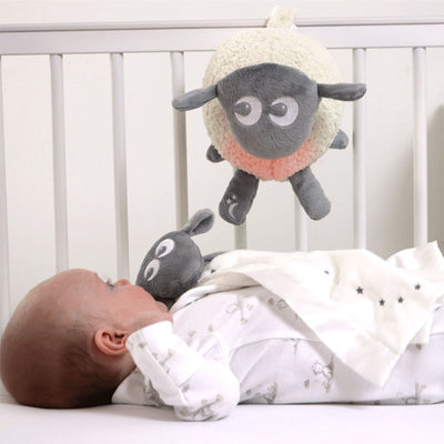 Ewan the Dream Sheep with Music and Light