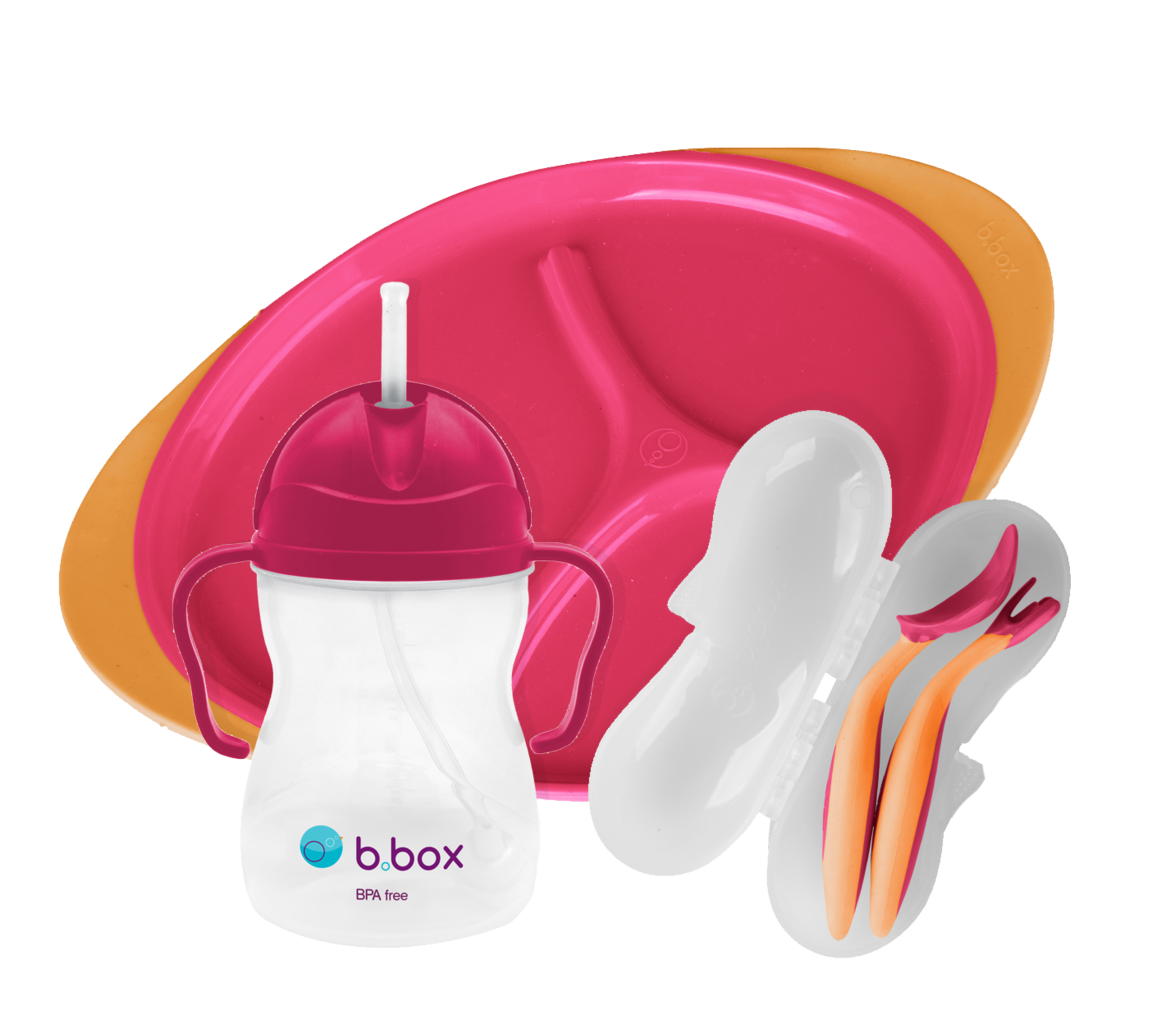 B Box Feeding Set